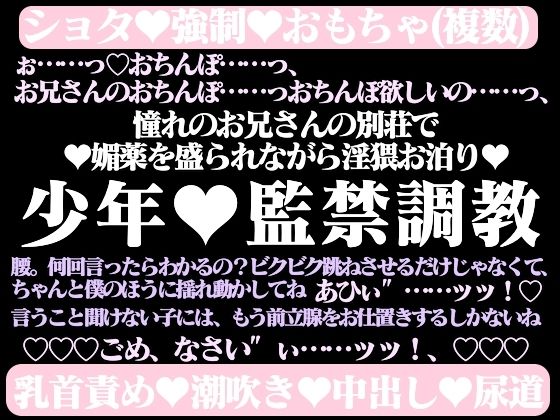 閉ざされた甘い夏―少年は憧れのお兄さんに監禁調教されるー