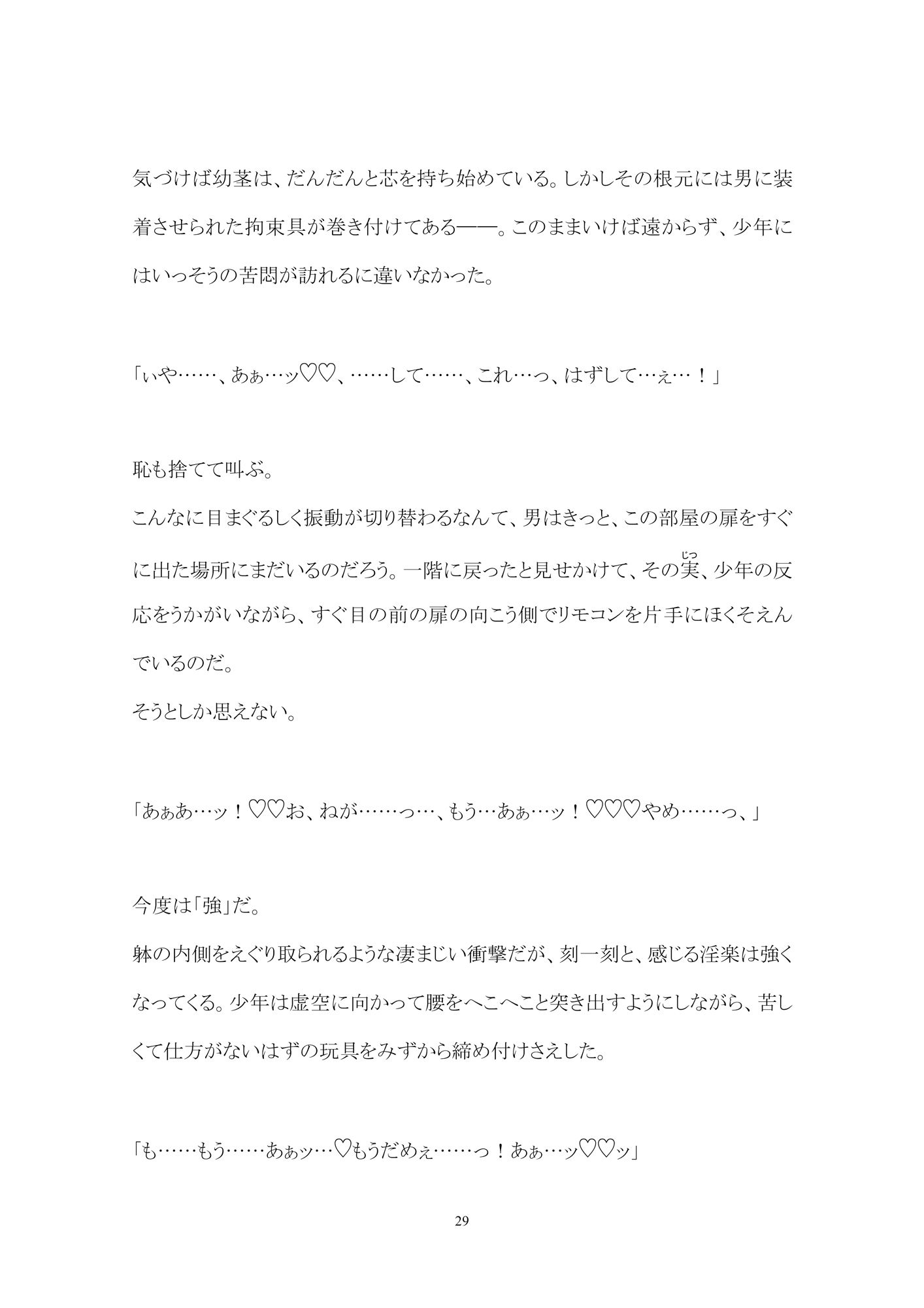 閉ざされた甘い夏―少年は憧れのお兄さんに監禁調教されるー2