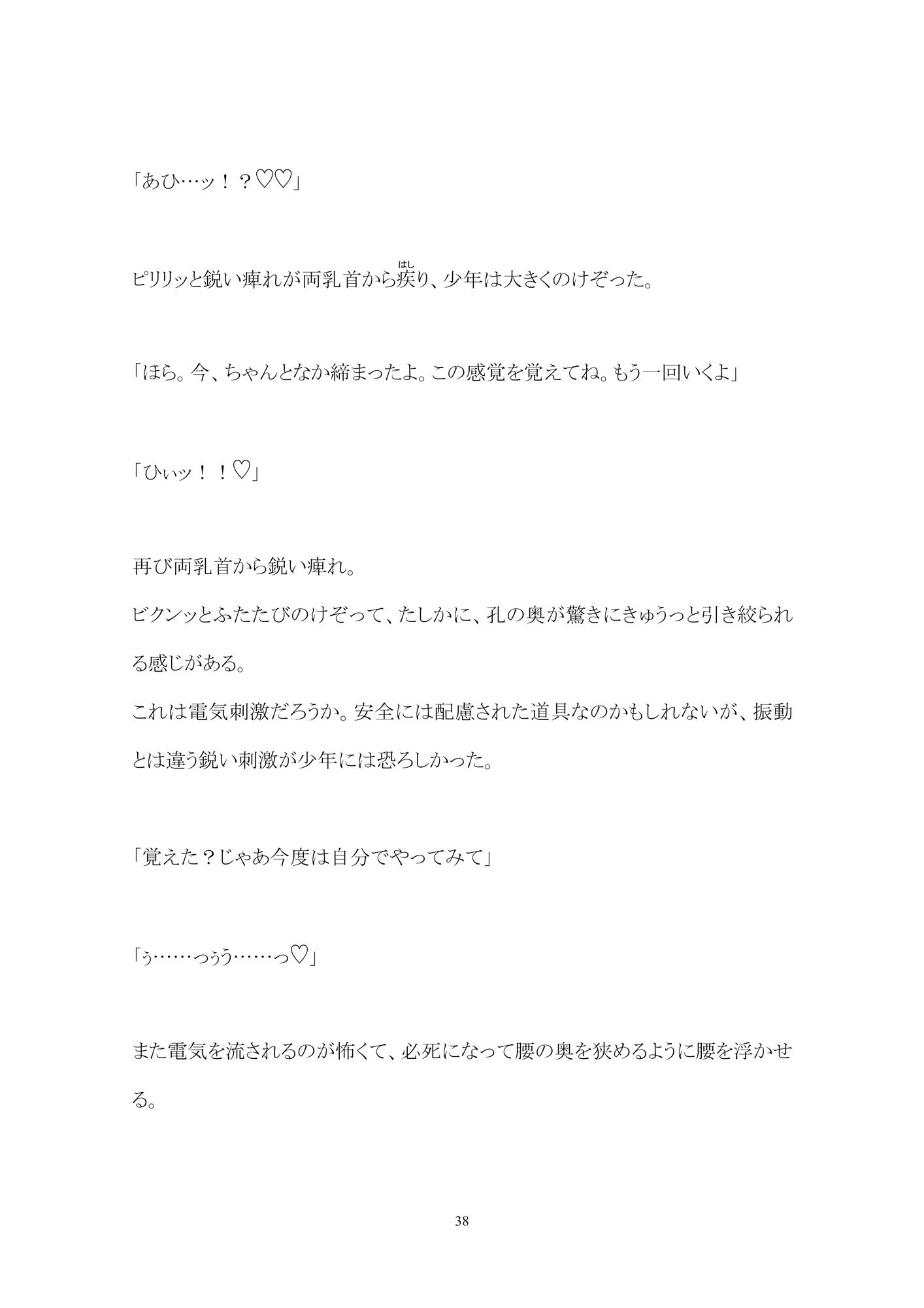 閉ざされた甘い夏―少年は憧れのお兄さんに監禁調教されるー3