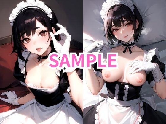 18歳の処女メイドと過激セックス2