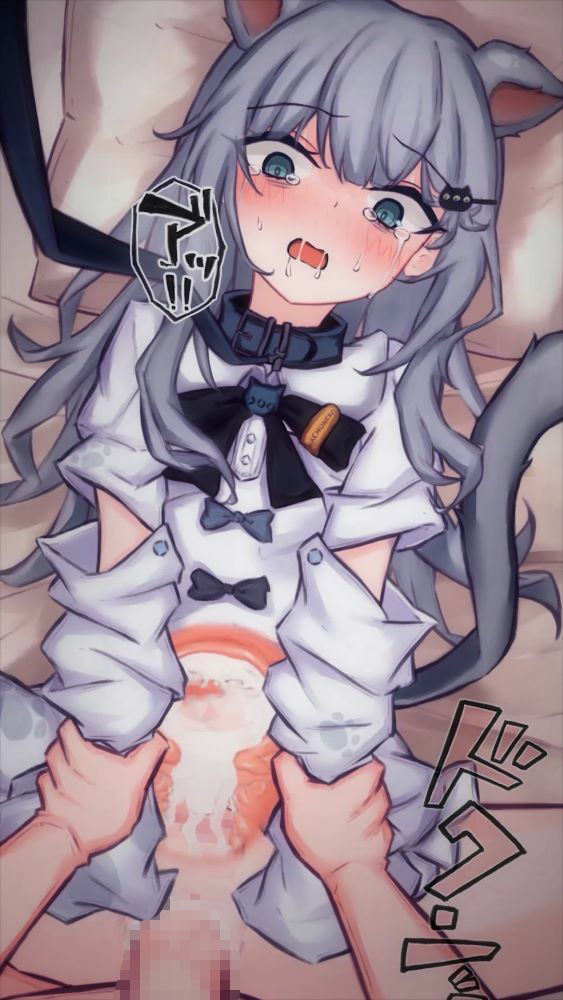 【2Dアニメ】種付けマーキング交尾、危険日まんこに中年おじさんの精子を生射精、タプタプ精液で確実に妊娠させる1
