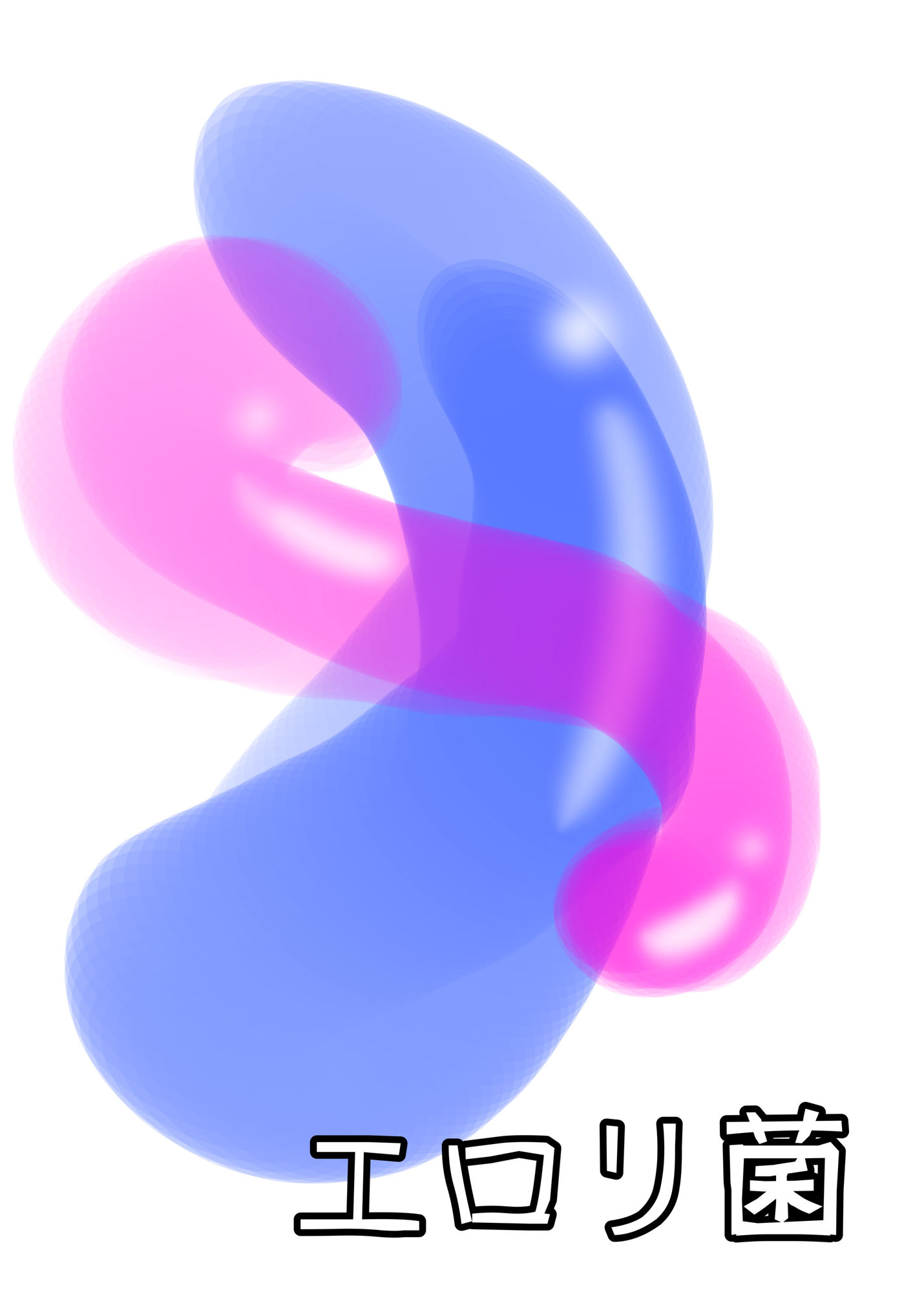 エロリ菌1
