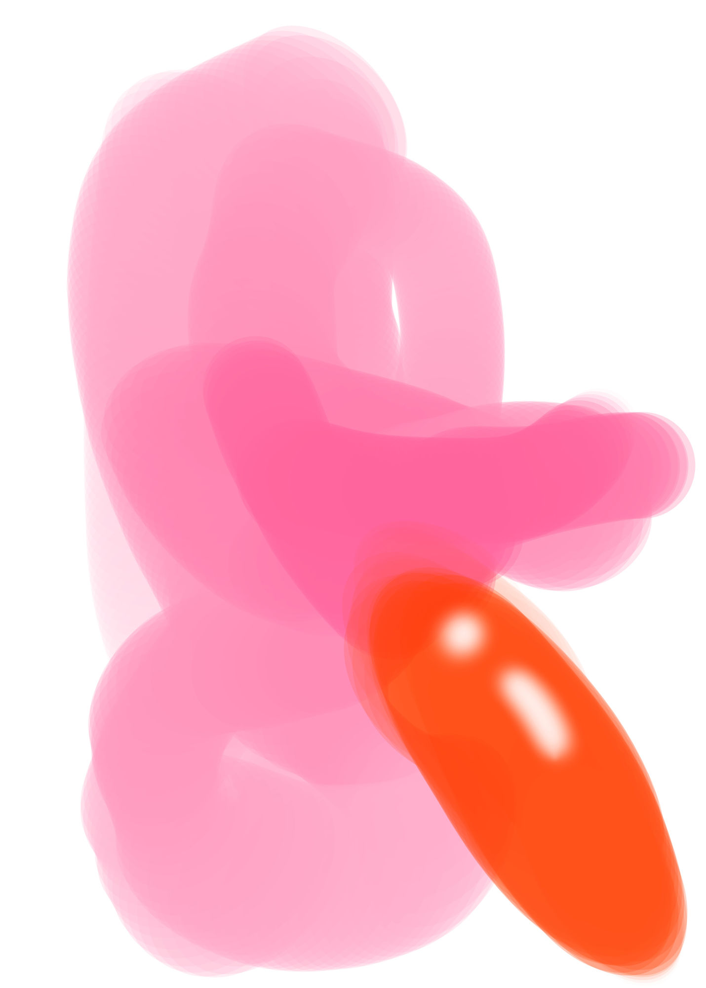 エロリ菌4