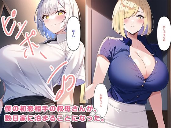 僕と母と叔母さんの三角関係3