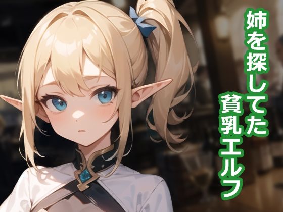 貧乳エルフ、犯っちゃいました1