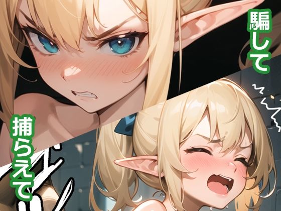 貧乳エルフ、犯っちゃいました2