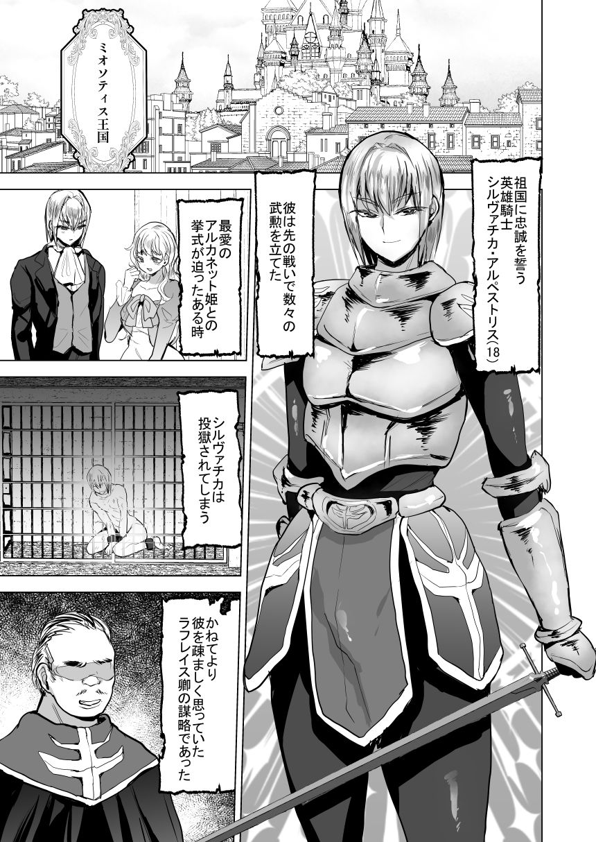 英雄騎士メス堕つ2