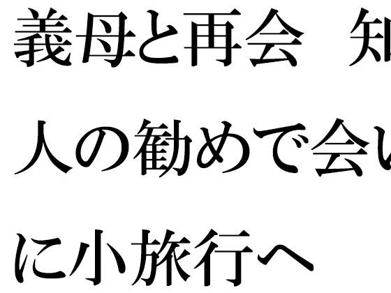 【義母と再会 知人の勧めで会いに小旅行へ】逢瀬のひび