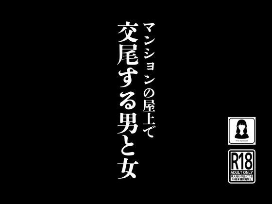 【マンションの屋上で交尾する男と女】first impression