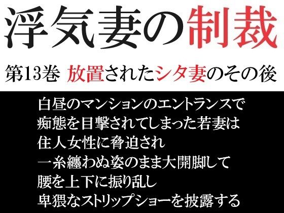 【浮気妻の制裁 第13巻 放置されたシタ妻のその後】海老沢  薫