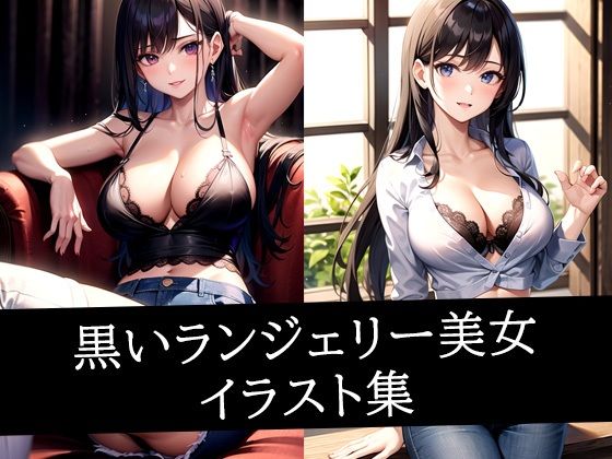 【黒いランジェリー美女イラスト集】ぽんぽこ