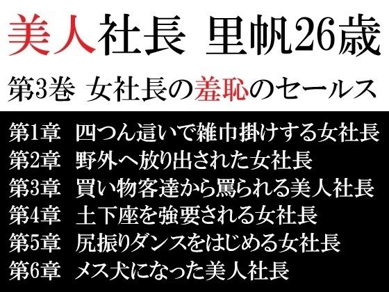 【美人社長 里帆26歳 第3巻 女社長の羞恥のセールス】海老沢  薫