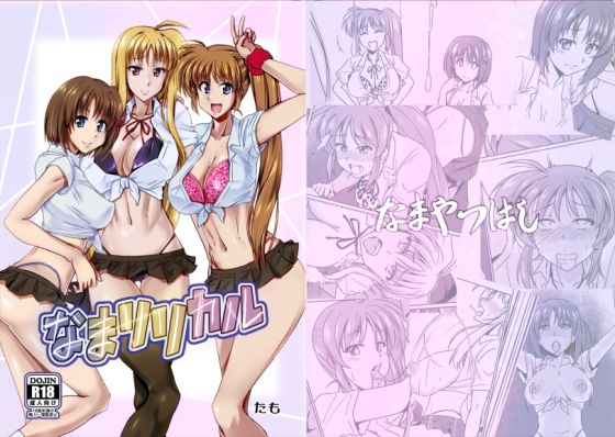 【なまリリカル】なまやつはし