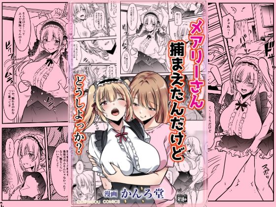 【メアリーさん捕まえたんだけどどうしよっか？】かんろ堂アート