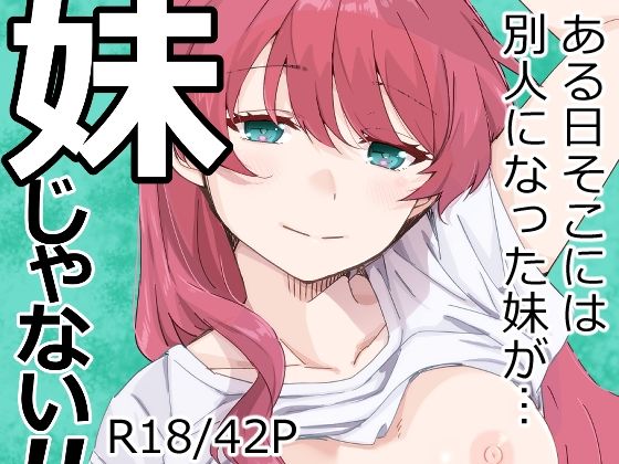 【妹じゃない！】海ねこ舎