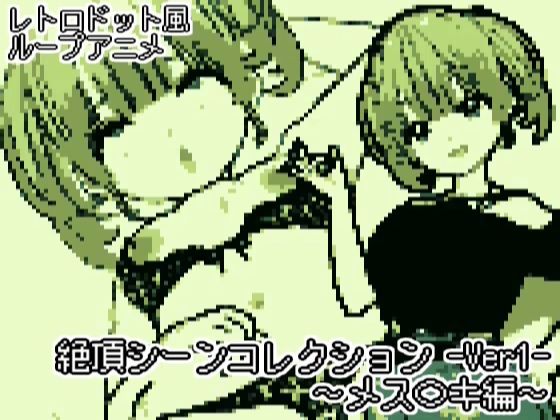 【【レトロドット風アニメ】絶頂シーンコレクション -ver1 メス〇キ編-】DOSUKEBE BOY