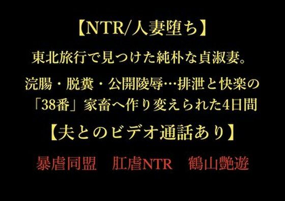 【【NTR/人妻堕ち】東北旅行で見つけた純朴な貞淑妻。浣腸・脱糞・公開陵●…排泄と快楽の「38番」家畜へ作り変えられた4日間【夫とのビデオ通話あり】】暴虐同盟