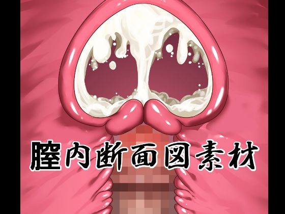 【膣内断面図素材】水の木