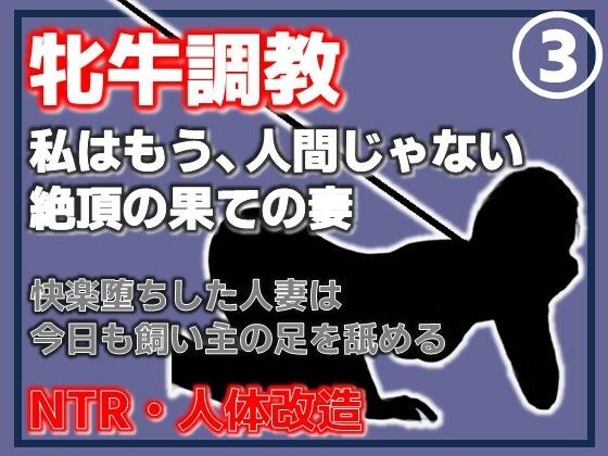 【【第3巻】人妻を従順な牝牛に改造・寝取られ、され、そして支配する悦楽】Aine Grace