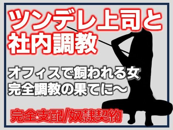 【ツンデレ上司と社内調教】Aine Grace