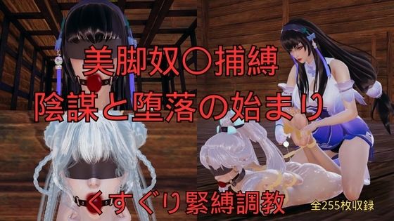 【美脚奴〇捕縛 陰謀と堕落の始まり】美脚調教工房