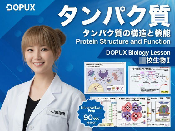 【【▲20】一ノ瀬廻里 大学に進学し強豪予備校『DOPUX（ドピュックス』で生物I，IIを教える名物講師に！（Vol.017:タンパク質）】Libido-Labo