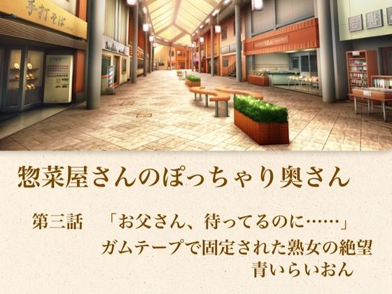 【【官能小説】惣菜屋さんのぽっちゃり奥さん 第三話 「お父さん、待ってるのに……」ガムテープで固定された熟女の絶望】青いらいおん