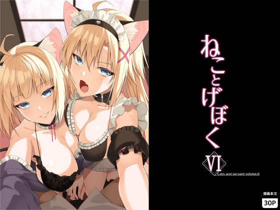 【ねことげぼくVI】Digital Flyer